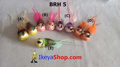 large2 BRH 5 b